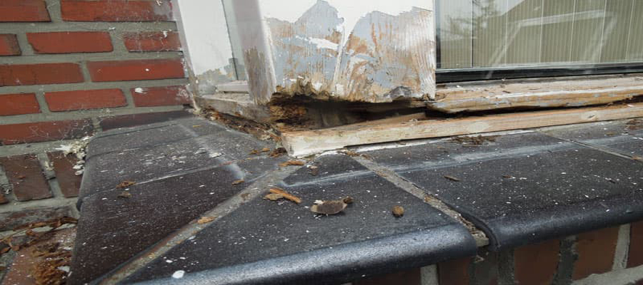 Reparatur von Holzfäule